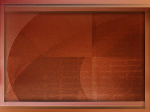 AI未来在金融风控中的实战案例